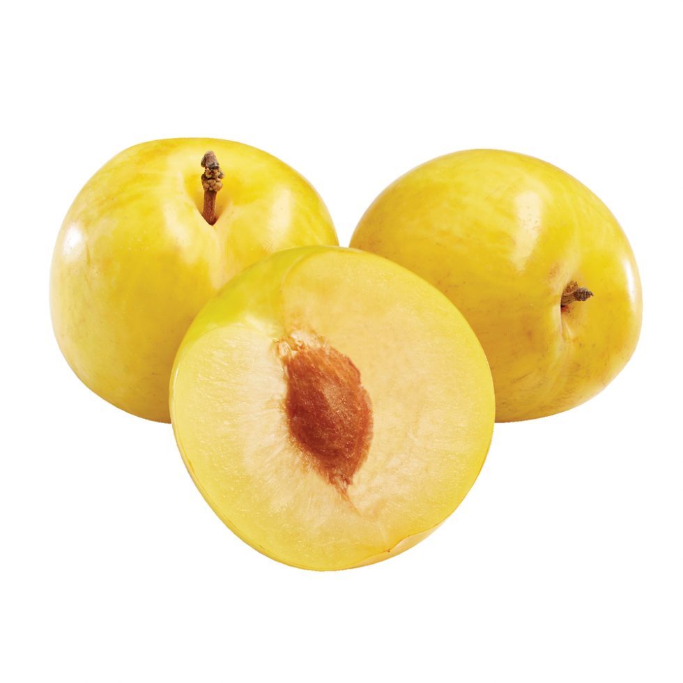 PRUNES - VieuxPointet