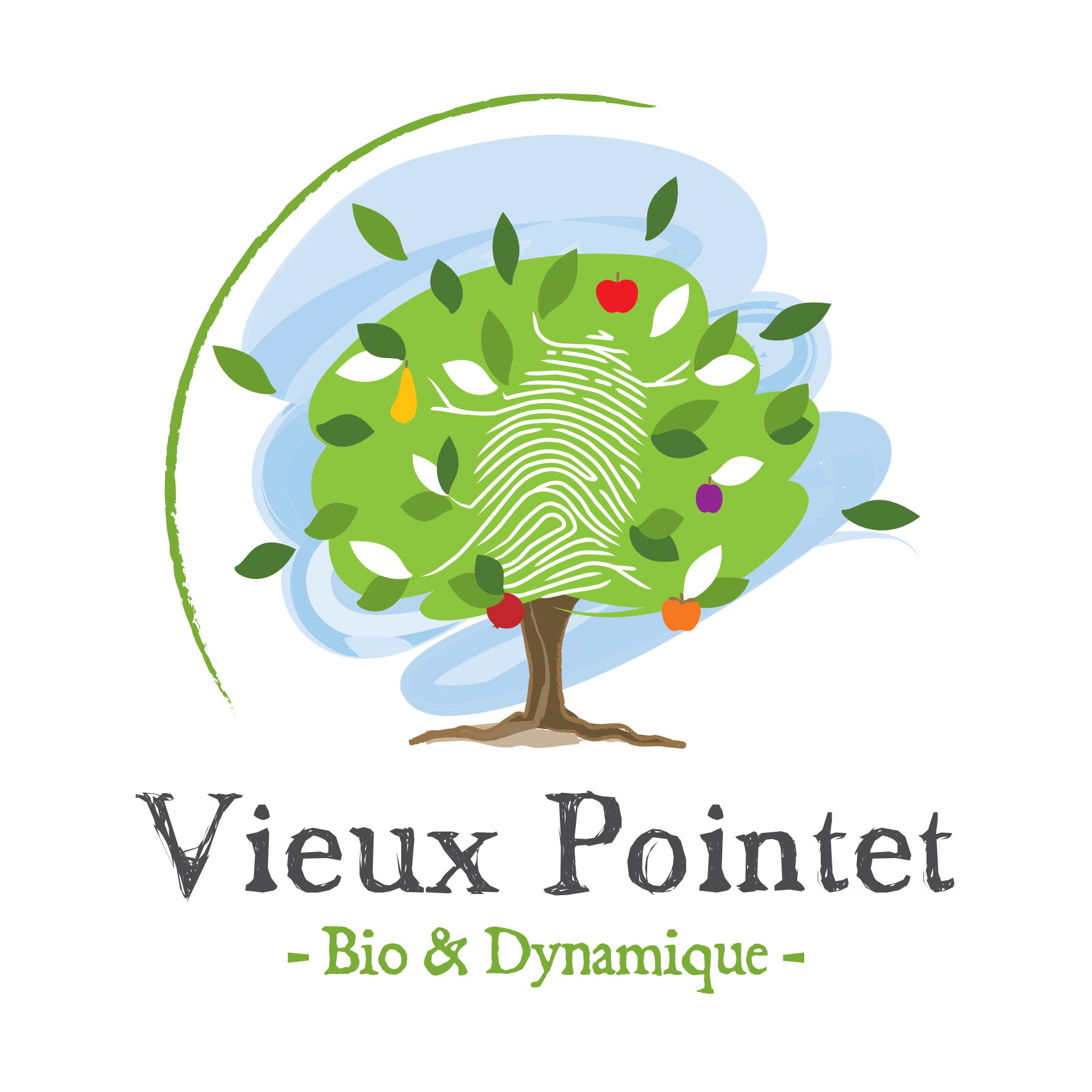 Vieux Pointet générique Bio & Dynamique