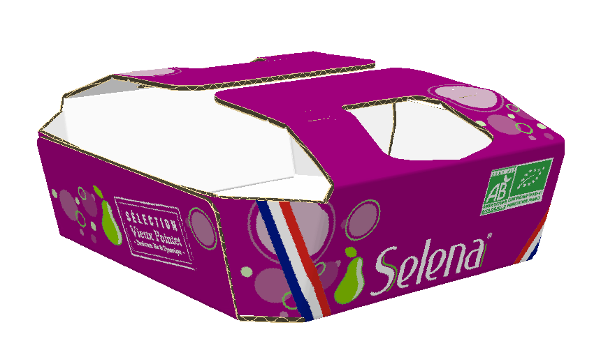 Barquette Selena 4 fruits